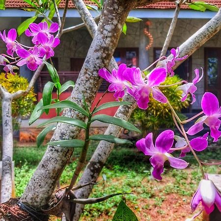 Vedic Heritage Boutique Hotel Ковалам Экстерьер фото