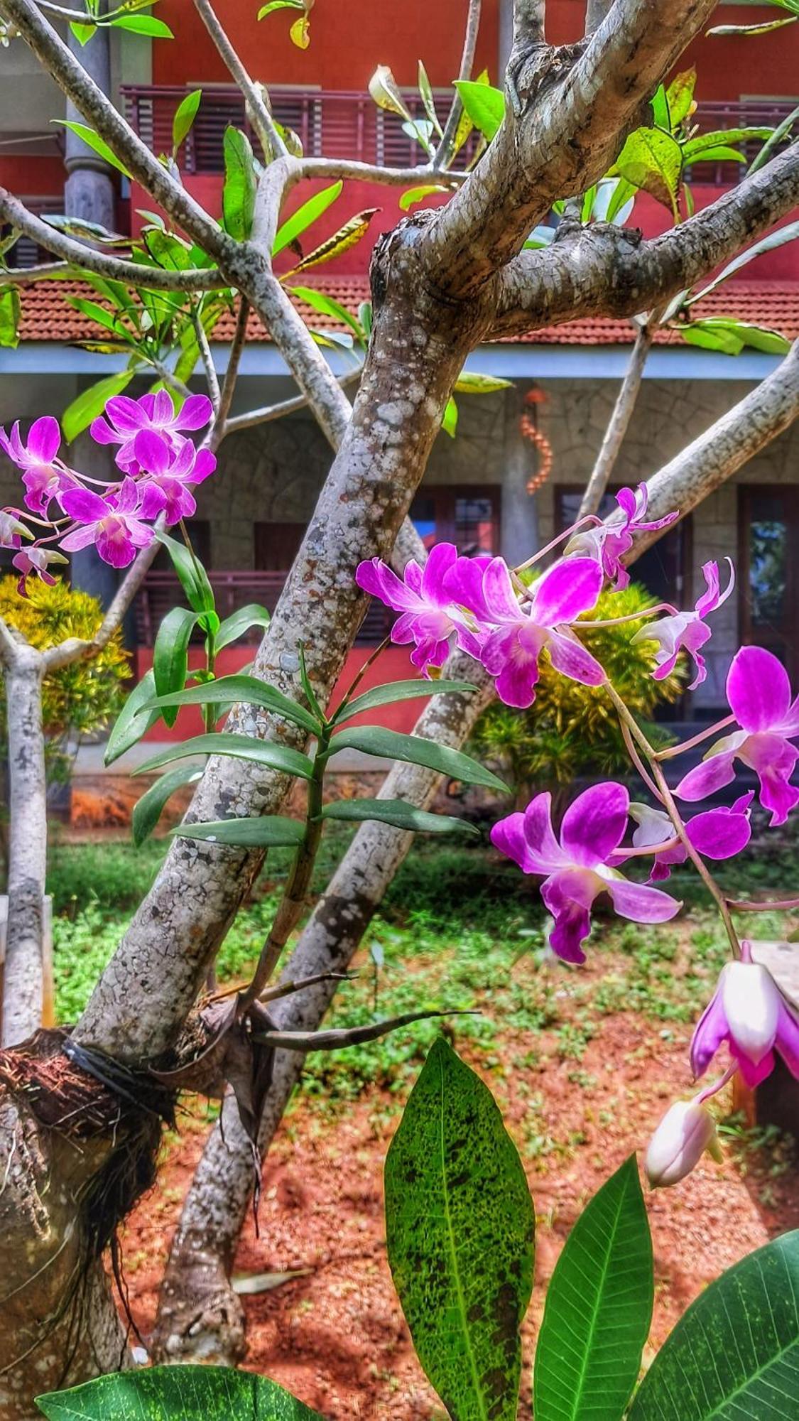 Vedic Heritage Boutique Hotel Ковалам Экстерьер фото